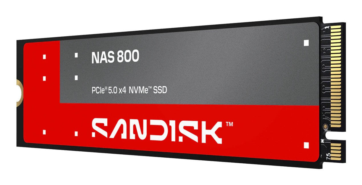 Disco Ssd Sandisk Nas 800  Cifrado - 3.84 Tb M.2 2280 S3-M (M.2 2280 S3-M)