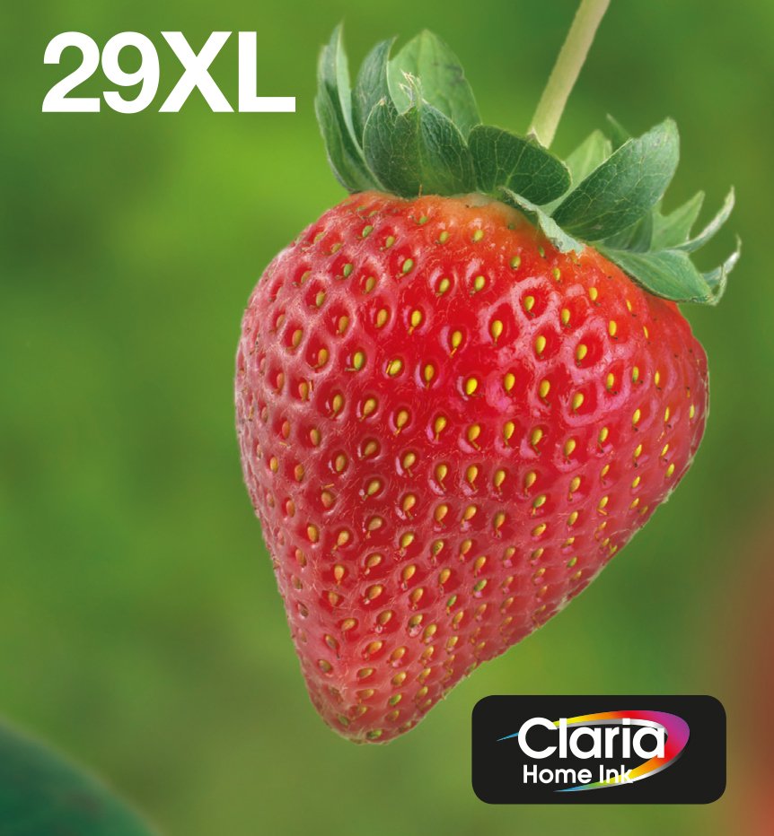 Multipack 4-Colours 29xl Easymail