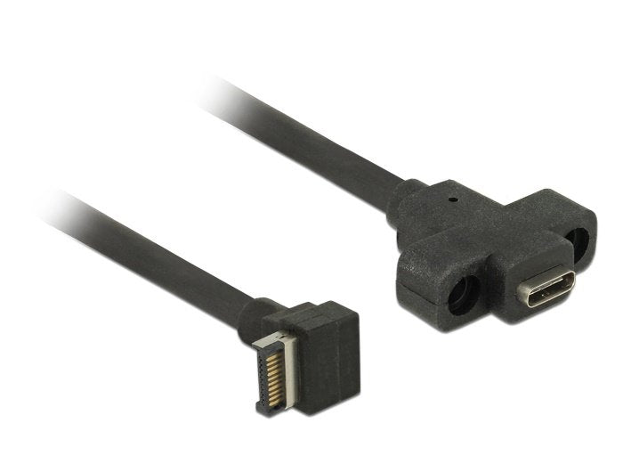 Delock Cable Usb 3.1 Gen 2 Clave A Macho De 20 Pines  Usb 3.1 Gen 2 Usb Type-C Panel De Montaje Hembra De 45 Cm