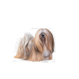 EAN 9003579009451 - Royal Canin Exigent Carnes Universal 85 g imagen 3