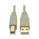 Usb 2.0 A To B Cable (M/M),  Beige, 6 Ft. (1.83 M)
