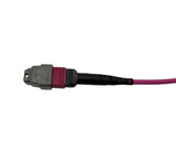 EAN 5715063536353 - Lanview LVO230410-MTP-2XS Cable de fibra óptica e InfiniBand 10 m Violeta imagen 4