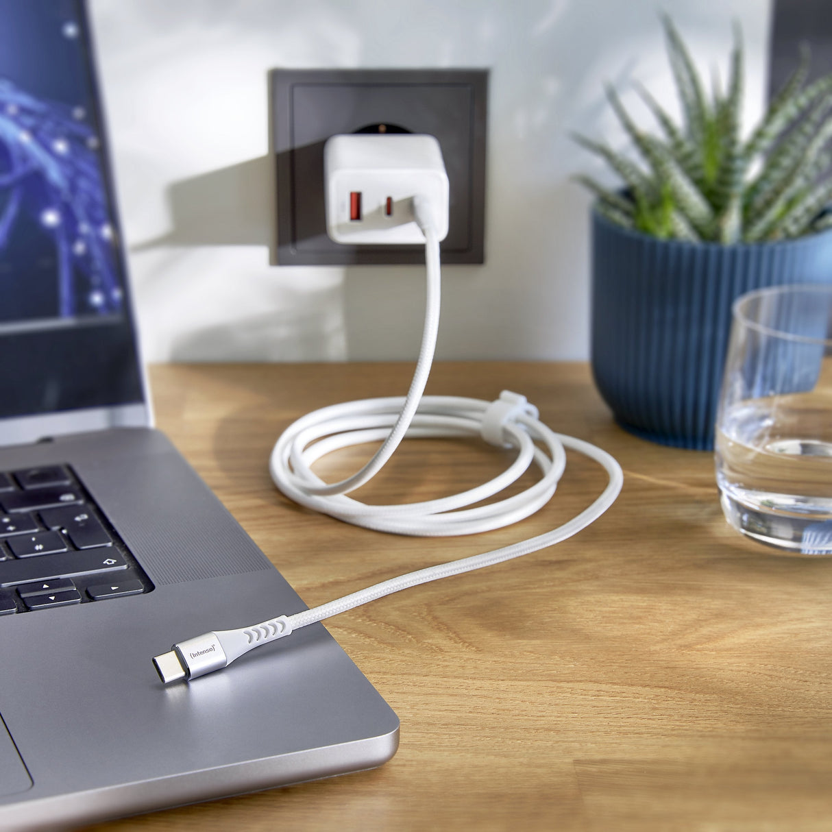 Intenso Usb-C A Usb-C Cable 1,5m Blanco