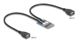 Delock Mini Pcie Adaptador Full Size A 2 X Usb 2.0 Typ-A Hembra 30 Cm