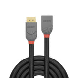 Lindy Displayport 1.4 Cable De Extensión 2m, Línea Anthra