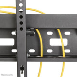 Newstar Soporte De Pared Para Tv Y Mediabox