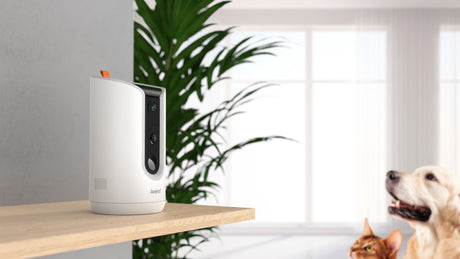 EAN 6974935720835 - Arenti PETCAM1T Indoor WiFi Haustierkamera & Futterspender Cámara de seguridad IP Interior Escritorio imagen 3