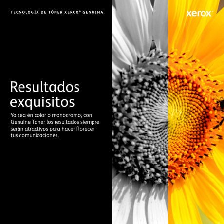 EAN 0095205866162 - Xerox 106R03921 cartucho de tóner 1 pieza(s) Original imagen 7