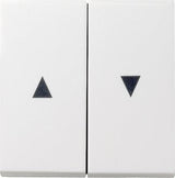 Gira 029403 Jalousie Wippe Pfeil Reinweiss System 55