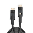 EAN 4002888384865 - Lindy 38486 cable DisplayPort 100 m Mini DisplayPort Negro imagen 1