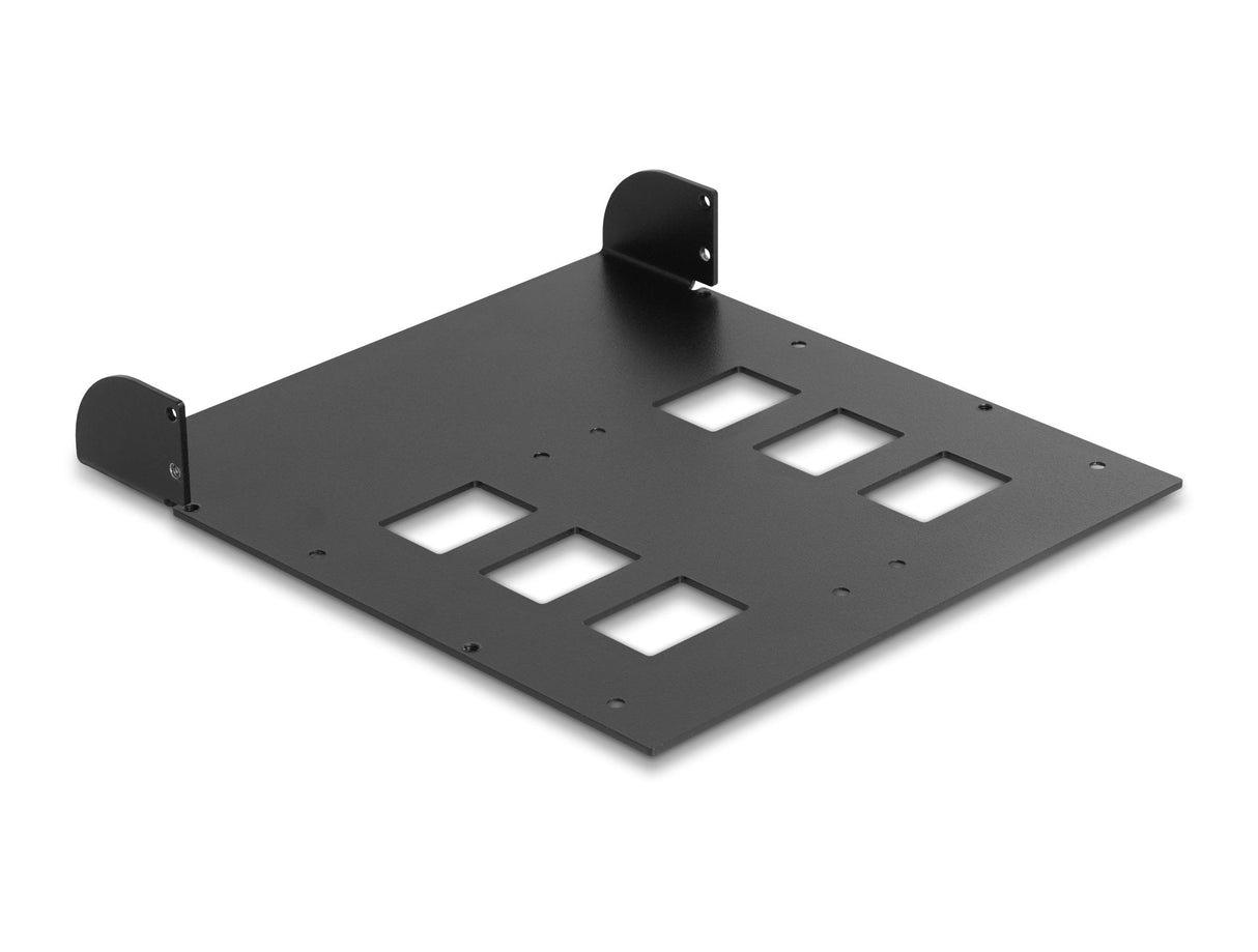 Delock 18003 Marco De Instalación Metálico De 5.25" Para 2 X Mobile Rack 47011 / 47005