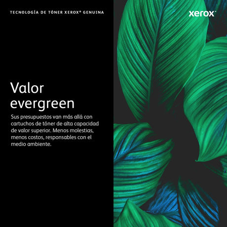 EAN 0095205883343 - Xerox 115R00143 cartucho de tóner imagen 6