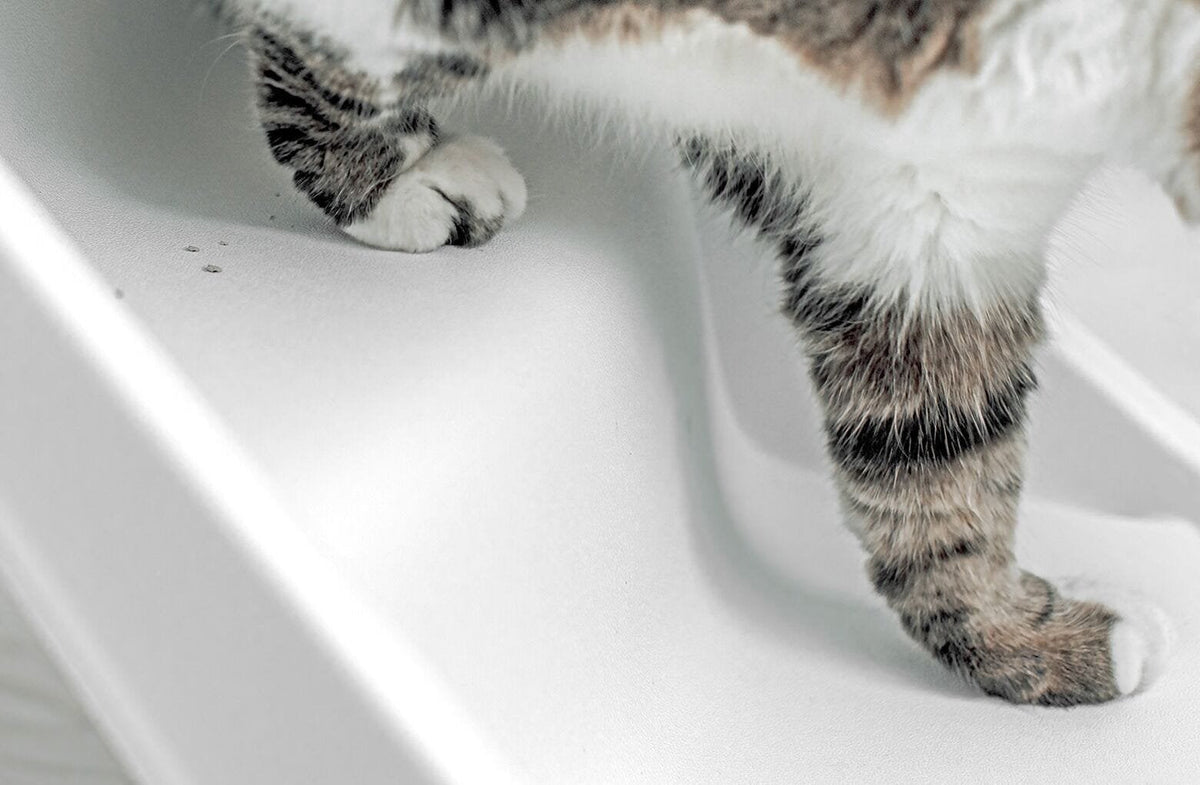 Whisker Litter-Robot 4 Ramp, White
