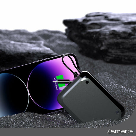 EAN 4252011907410 - 4smarts 540699 batería externa 10000 mAh Gris imagen 6