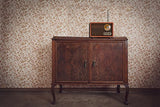 Radio Adler Ad 1171 Retro  With Bluetooth, Brown