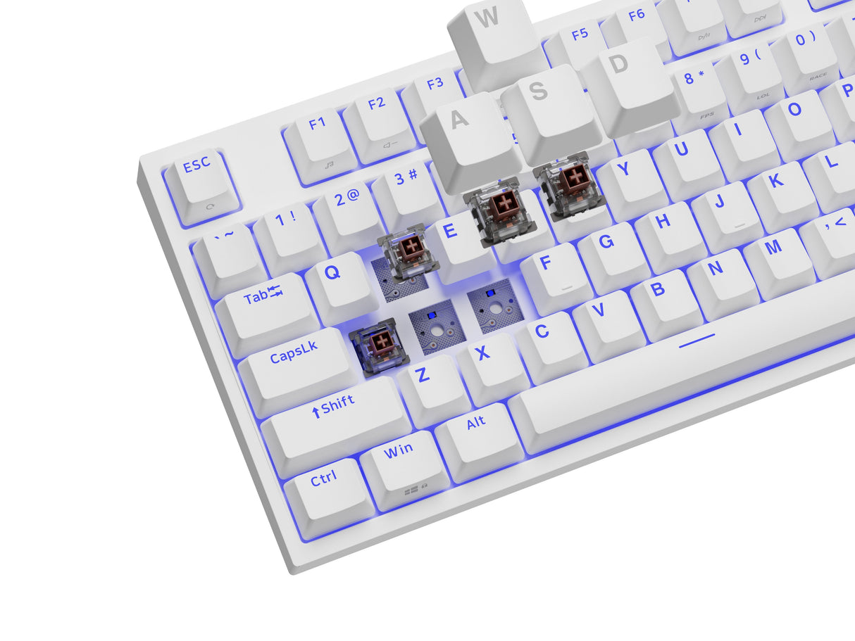 Genesis Thor 404 Tkl Biala Rgb Kailh Box Brown V2