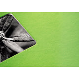 Hama Fine Art Álbum De Foto Y Protector Verde 300 Hojas 10 X 15 Cm