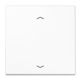 Jung Ls1700pww Tecla De Control Standard -Pfeile