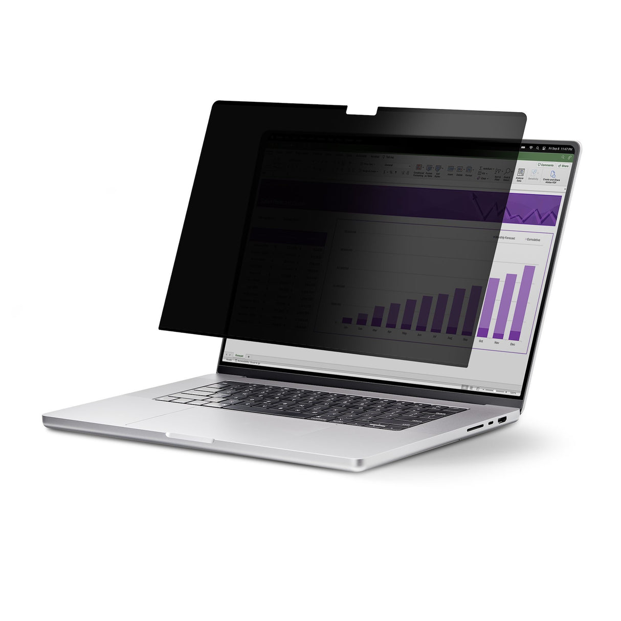 EAN 0065030906517 - StarTech.com 15MAM-PRIVACY-SCREEN filtro para monitor 38,1 cm (15") Filtro de privacidad para pantallas s imagen 1