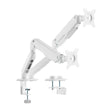 EAN 8435739904619 - AISENS DT32TSR-439 soporte para monitor 81,3 cm (32") Escritorio imagen 1