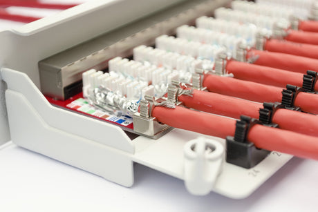EAN 4016032480792 - Digitus DK-1743-VH-250 cable de red Naranja Cat7 S/FTP (S-STP) imagen 2