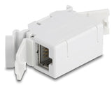 Delock Rj45 Kupplung Cat.6a Hembra A Hembra Con Staubschutzklappe