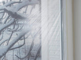 Película Aislante Para Ventanas Tesa Tesamoll Thermo Cover Aislamiento Transparente, 4 Metros X 1,5 Metros 05432-00000-01