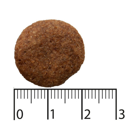 EAN 7311030450813 - Bozita 9117390 comida seca para perros 2,5 kg Adulto Ternera, Salmón imagen 2