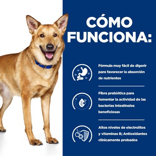 Hill'S Pd Cuidado Digestivo Canino Guiso I/D Bajo En Grasa  354 G