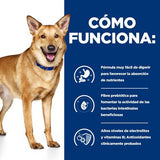 Hill'S Pd Cuidado Digestivo Canino Guiso I/D Bajo En Grasa  354 G