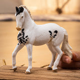 Schleich Horse Club Marwari Semental, Figura De Juguete   14898