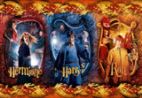 Puzzle Harry, Ron Y Hermione Harry Potter 104pz