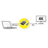 Roline Usb Typ C - Dvi Adaptercable, St St, 2 M