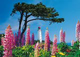 Schmidt Juegos Leuchtturm Dornbusch, Hiddensee 1000 Piezas) 58067