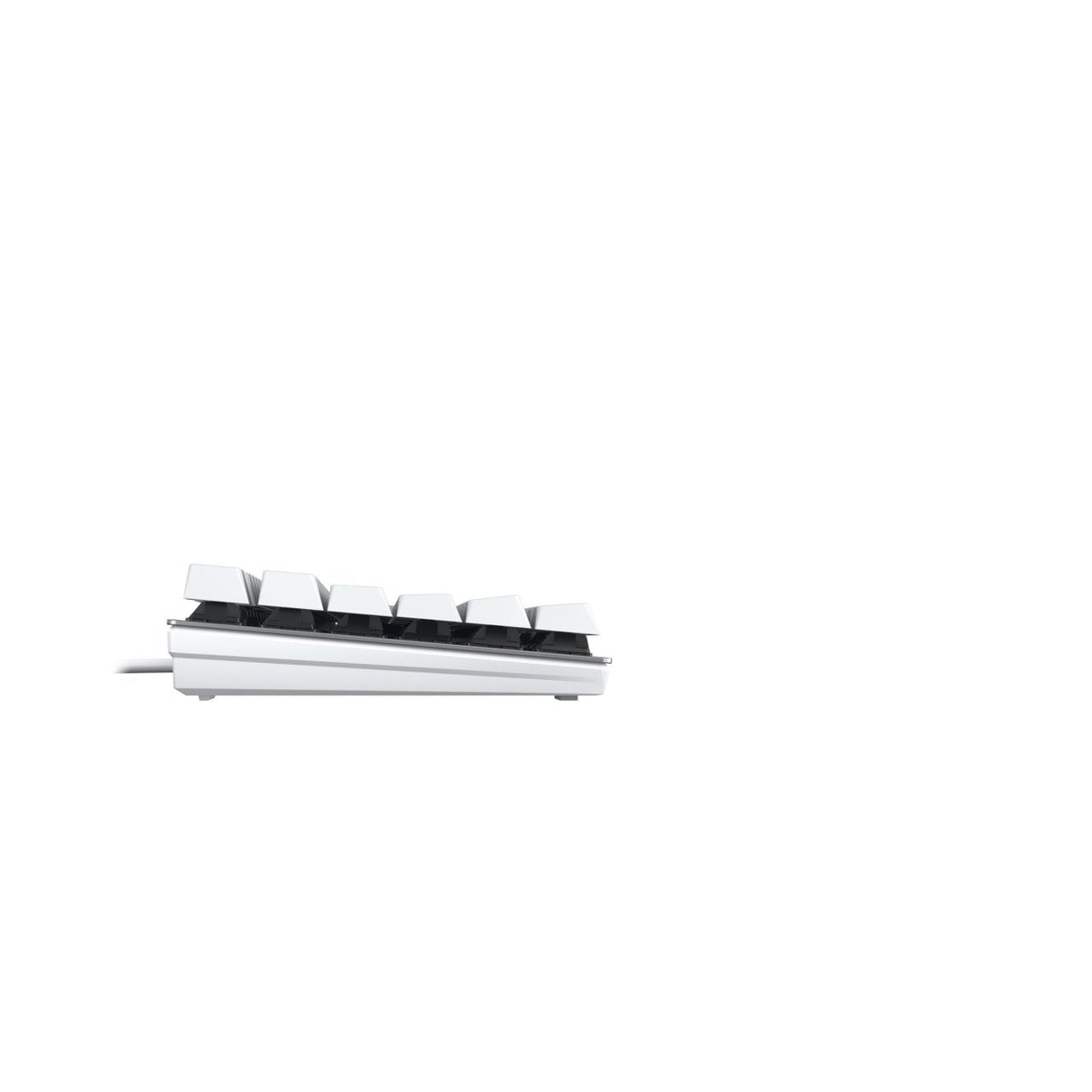 EAN 4025112111051 - CHERRY KC 200 MX teclado Universal USB QWERTZ Alemán Plata, Blanco imagen 4
