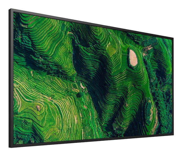Sony 55" Pro Bravia 500nit Dbng Standard Display