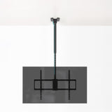 Soporte Techo Pant. 50-100" Gira/Incli/Exten Negro