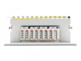 Delock Panel De Conexiones De 10" De 8 Puertos Cat.6a 1u Gris