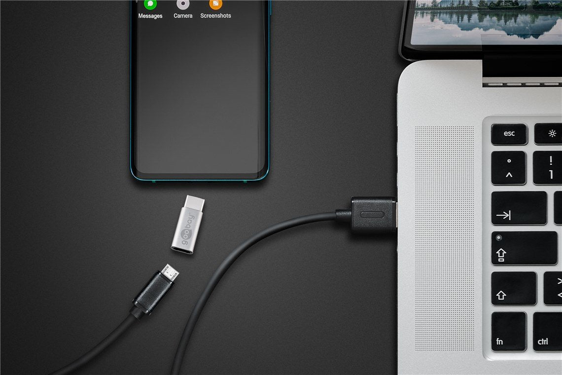 Goobay 56636 Adaptador Usb-C Usb 2.0 Micro Plata