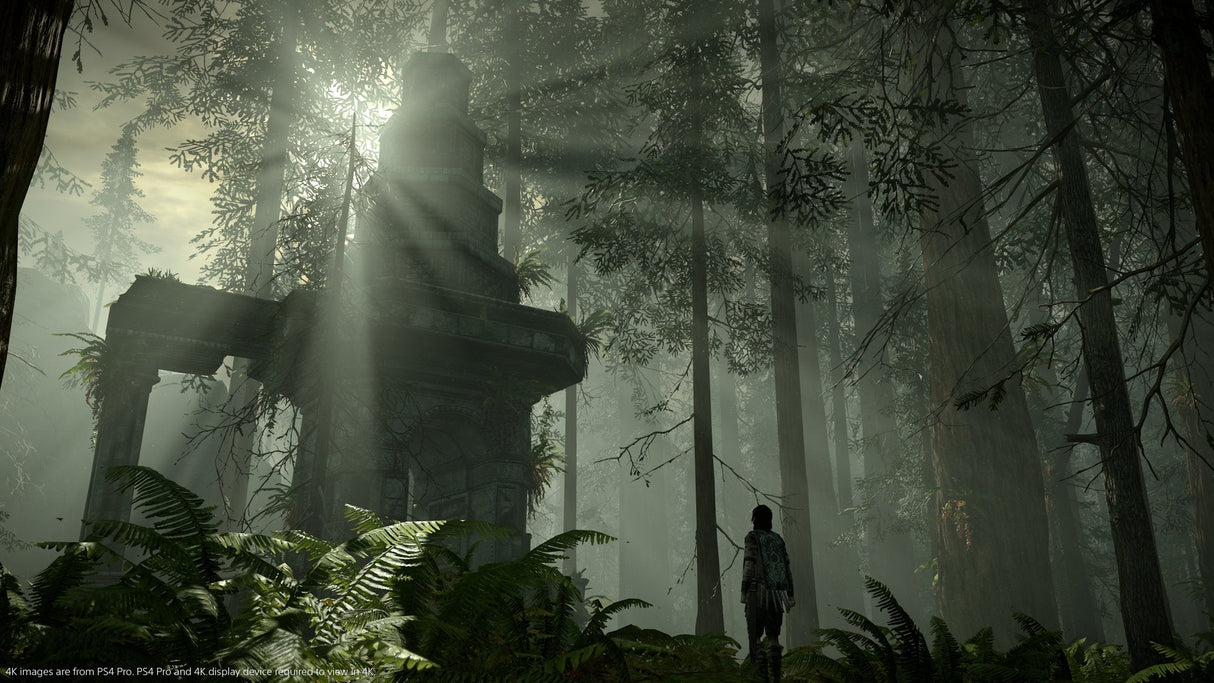 Shadow Of The Colossus Ps4 Uk