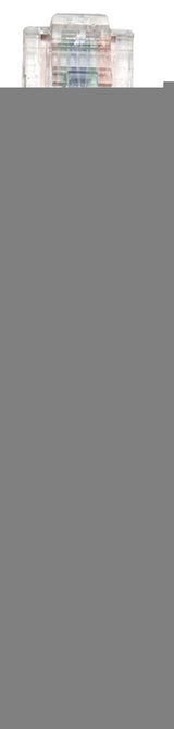 EAN 0766623739825 - Intellinet Cat6, SFTP, 0.25m cable de red Verde 0,25 m S/FTP (S-STP) imagen 3