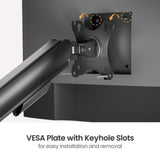 Single Gas Spring Monitor  Mount