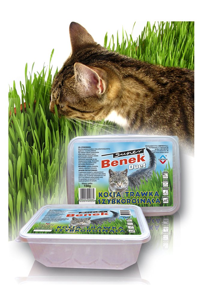 Certech 10319 Semilla De Hierba Para Mascota Gato