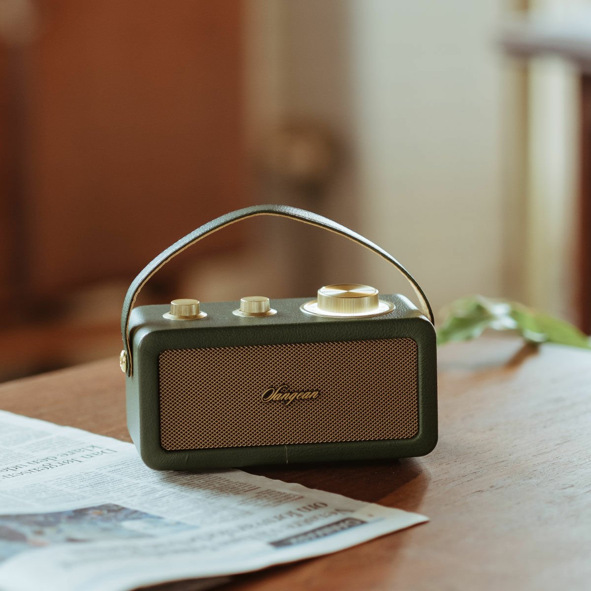 Sangean Ra-101 Forest Gold Altavoz Portátil