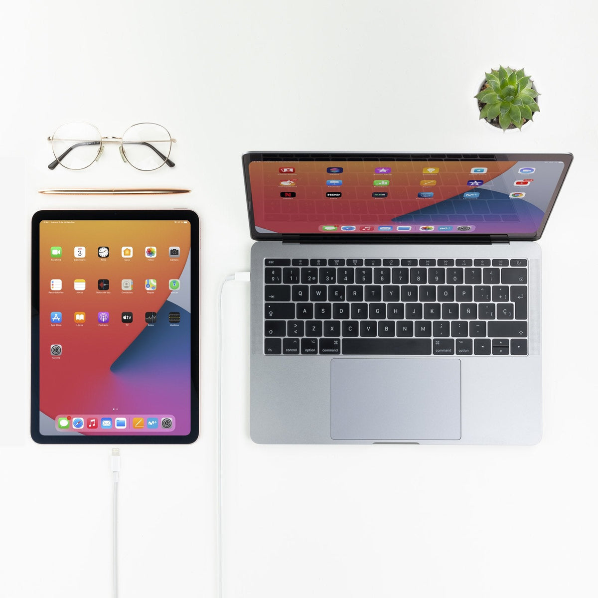 Cable Lightning A Usb-C 1.0m Nanocable 10.10601