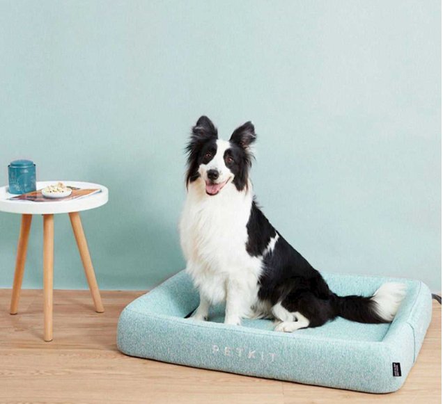 EAN 6931580106049 - PETKIT Four - M Cama para mascotas imagen 4