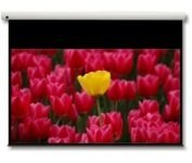 Optoma Panoview 16:9 106" Pantalla De Proyección 2,69 M (106")