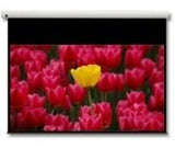 Optoma Panoview 16:9 106" Pantalla De Proyección 2,69 M (106")