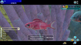 Switch Endless Ocean Luminous