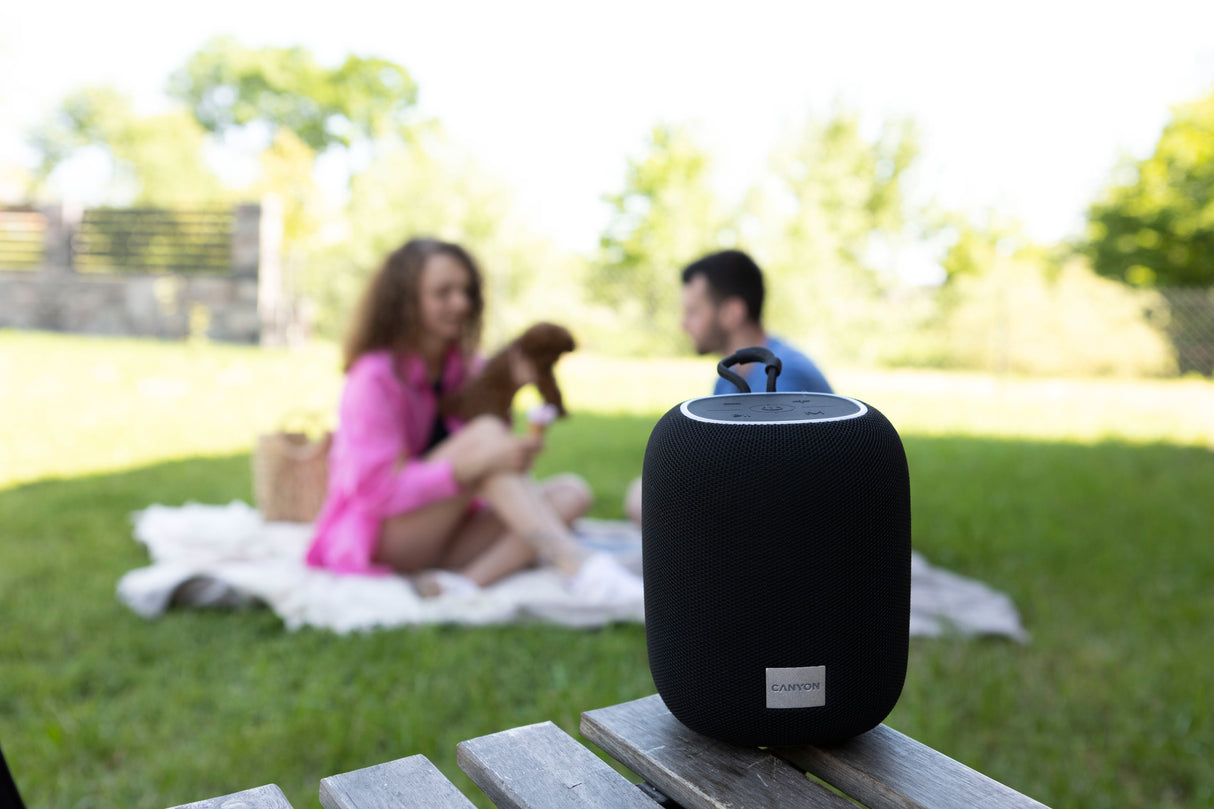 Canyon Bluetooth Speaker Bsp-8 Tf Reader Usb-C 10w Negro Retail
